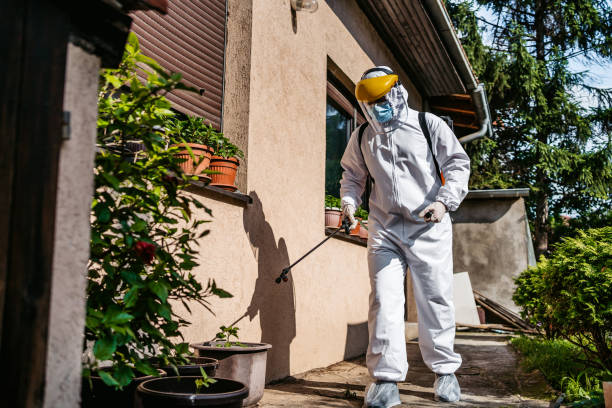 Best Mosquito Control Services  in Wayland, MI