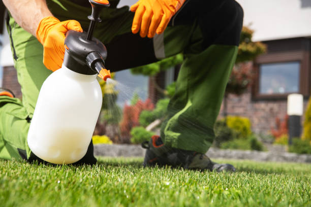 Pest Control for Restaurants in Wayland, MI