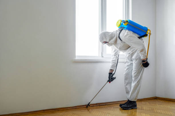 Trusted Wayland, MI Pest Control Experts