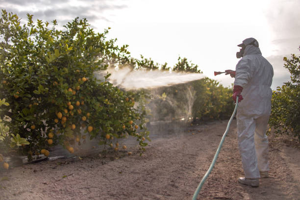 Best Pest Inspection Near Me  in Wayland, MI