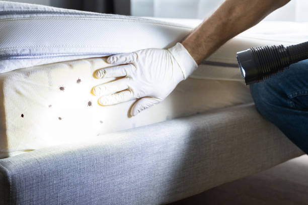 Best Affordable Pest Control Services  in Wayland, MI
