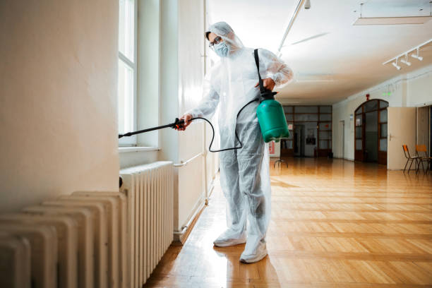 Best Affordable Pest Control Services  in Wayland, MI