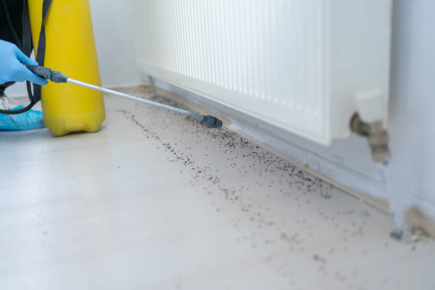 Best Pest Removal Services  in Wayland, MI