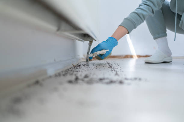 Best Best Pest Control Companies  in Wayland, MI