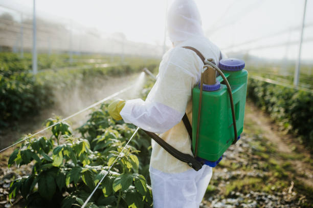 Best Termite Control Services  in Wayland, MI